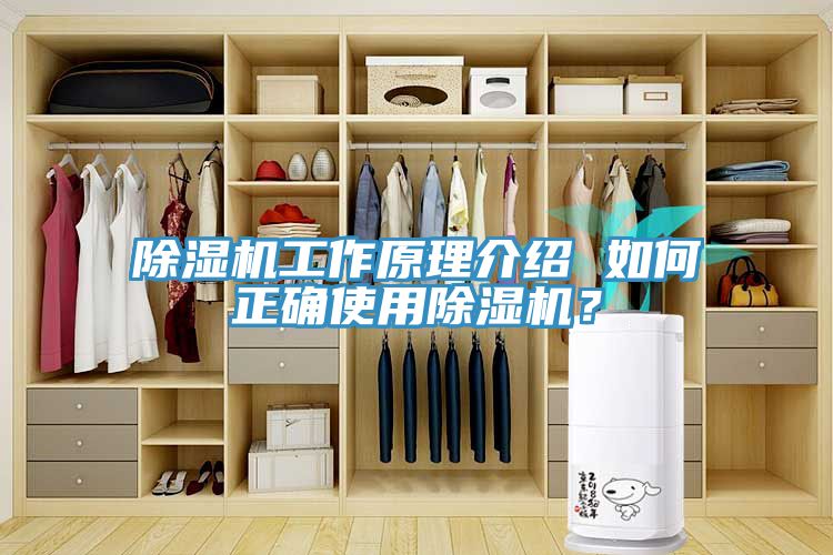 杏仁直播app最新版下载工作原理介绍 如何正确使用杏仁直播app最新版下载？