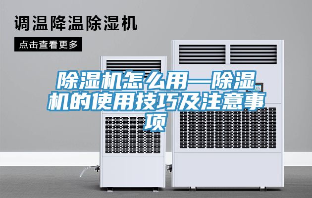 杏仁直播app最新版下载怎么用—杏仁直播app最新版下载的使用技巧及注意事项