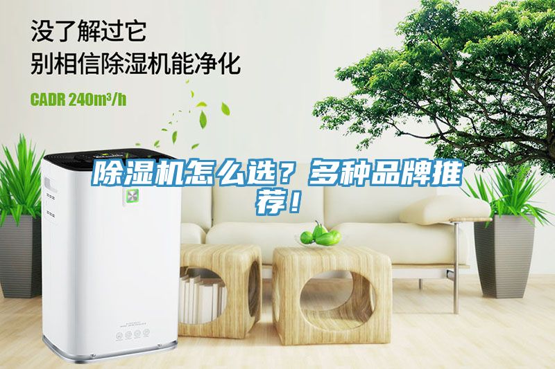 杏仁直播app最新版下载怎么选？多种品牌推荐！