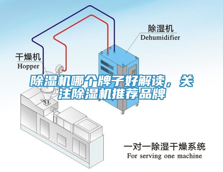 杏仁直播app最新版下载哪个牌子好解读，关注杏仁直播app最新版下载推荐品牌