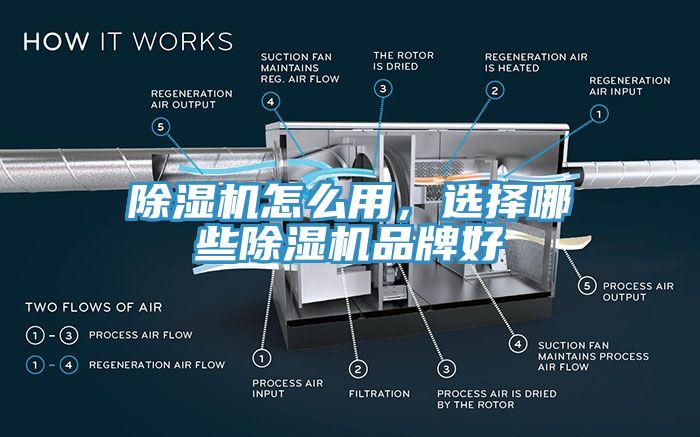 杏仁直播app最新版下载怎么用，选择哪些杏仁直播app最新版下载品牌好