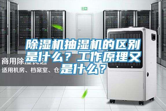 杏仁直播app最新版下载抽湿机的区别是什么？工作原理又是什么？