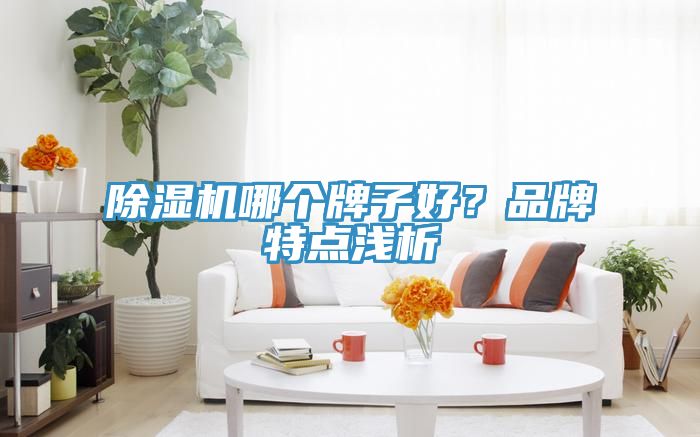 杏仁直播app最新版下载哪个牌子好？品牌特点浅析